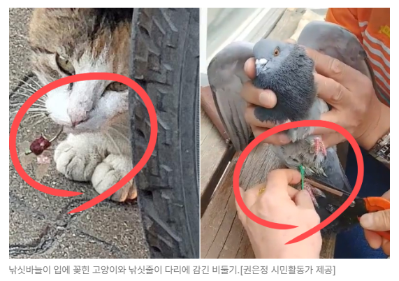 스크린샷 2026-08-05 093213.png