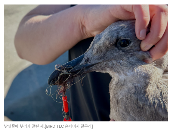 스크린샷 2026-08-05 093228.png