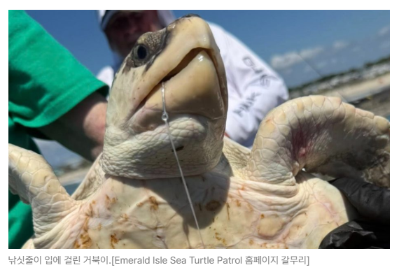 스크린샷 2026-08-05 093234.png