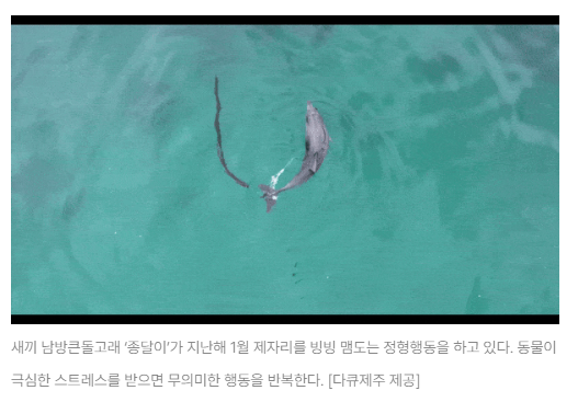 스크린샷 2026-08-05 093241.png