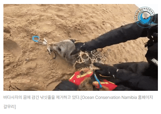 스크린샷 2026-08-05 093249.png