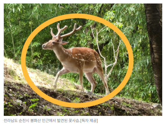 스크린샷 2026-08-05 094511.png