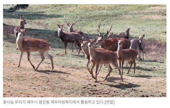 스크린샷 2026-08-05 094519.png