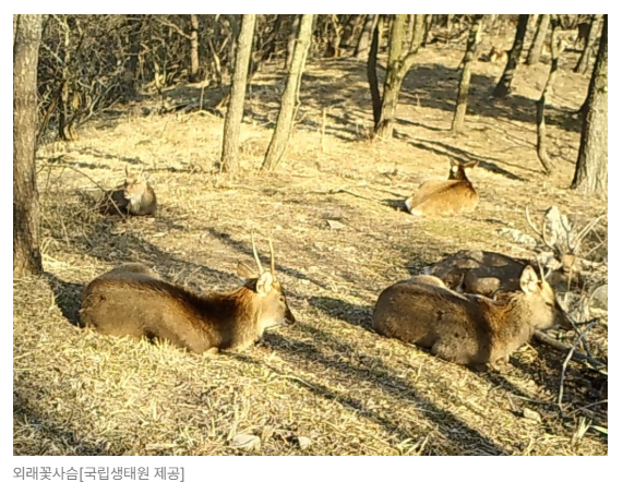 스크린샷 2026-08-05 094532.png