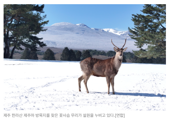 스크린샷 2026-08-05 094539.png