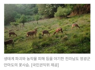 스크린샷 2026-08-05 094544.png