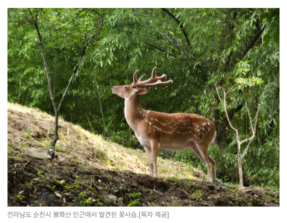 스크린샷 2026-08-05 094549.png