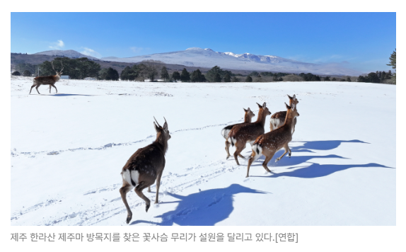 스크린샷 2026-08-05 094554.png