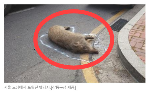 스크린샷 2026-08-05 094559.png