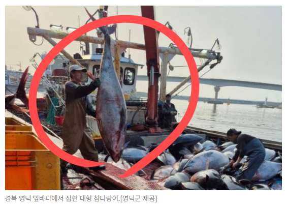스크린샷 2026-08-05 095037.png