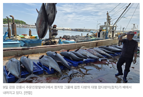 스크린샷 2026-08-05 095054.png