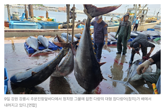 스크린샷 2026-08-05 095100.png