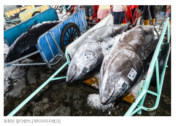 스크린샷 2026-08-05 095108.png
