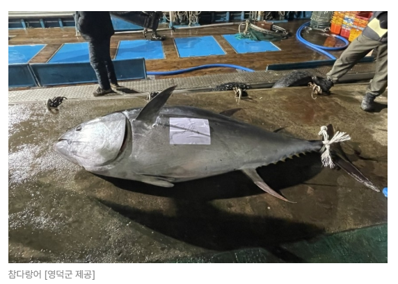 스크린샷 2026-08-05 095112.png