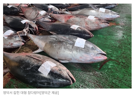 스크린샷 2026-08-05 095117.png