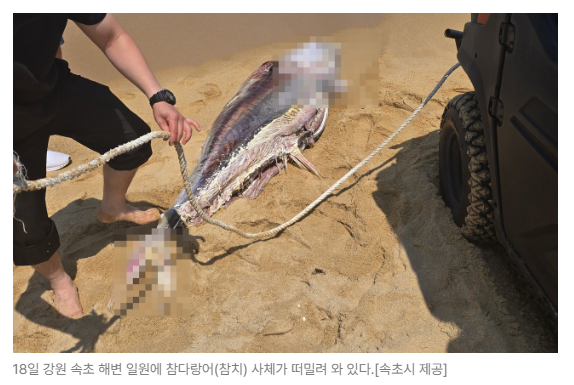 스크린샷 2026-08-05 095124.png