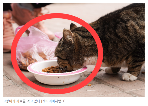 스크린샷 2026-08-05 095523.png