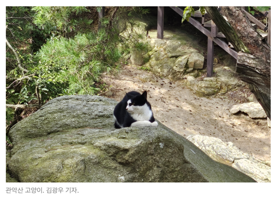 스크린샷 2026-08-05 095531.png