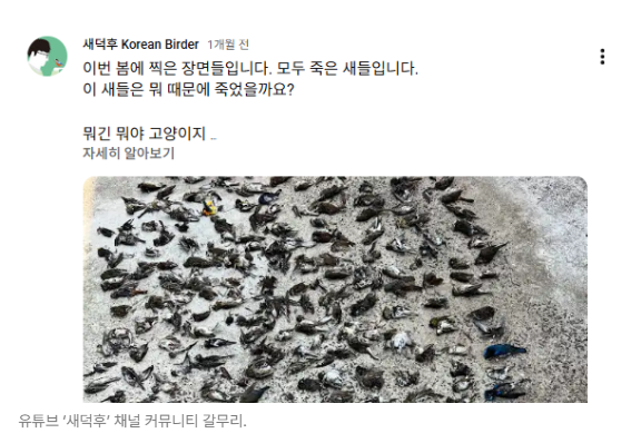 스크린샷 2026-08-05 095558.png