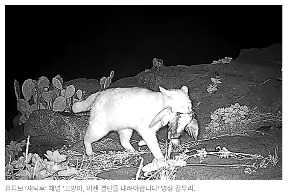 스크린샷 2026-08-05 095613.png