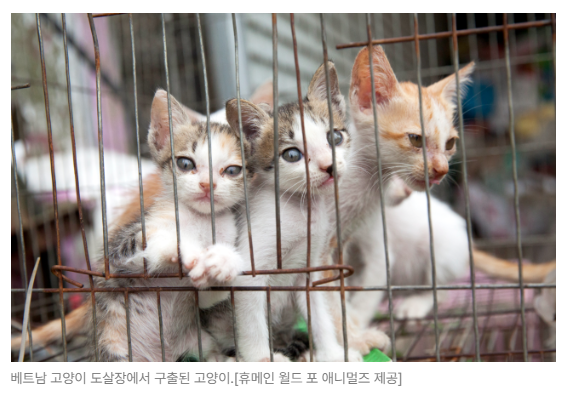 스크린샷 2026-08-05 095638.png