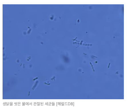 스크린샷 2026-08-05 104448.png