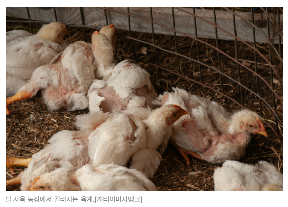 스크린샷 2026-08-05 104504.png