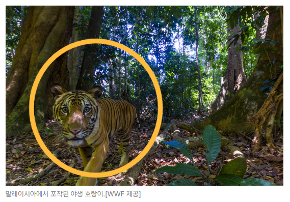 스크린샷 2026-08-05 105012.png