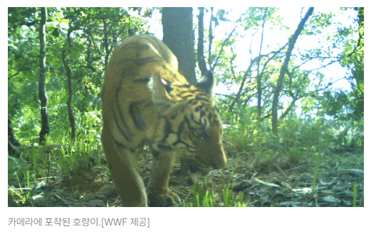 스크린샷 2026-08-05 105022.png
