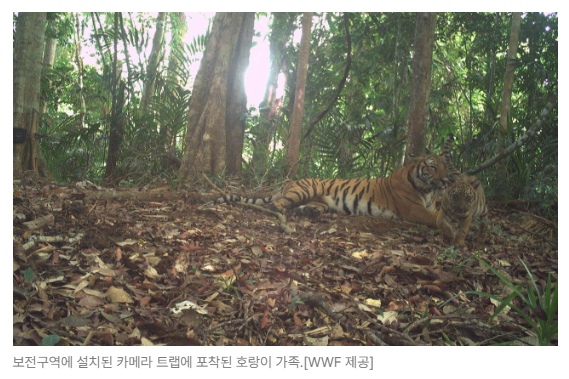 스크린샷 2026-08-05 105030.png