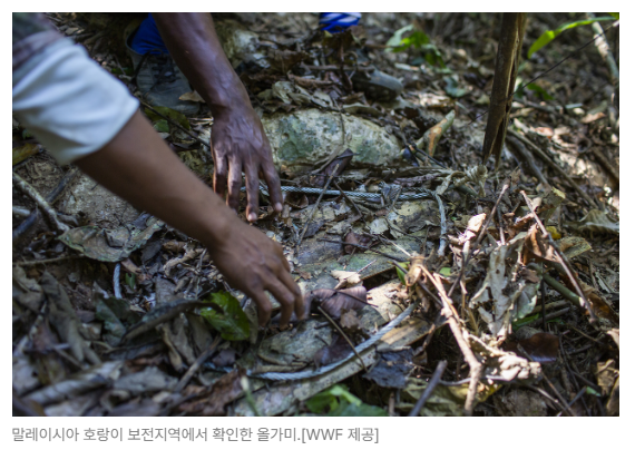 스크린샷 2026-08-05 105035.png