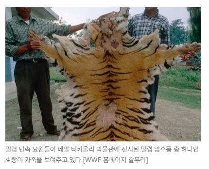 스크린샷 2026-08-05 105040.png