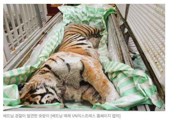 스크린샷 2026-08-05 105048.png