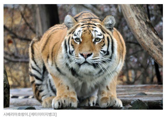 스크린샷 2026-08-05 105056.png
