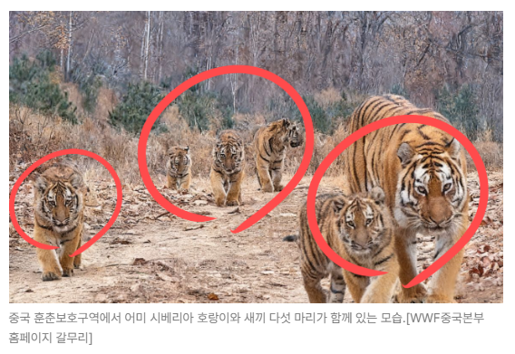 스크린샷 2026-08-05 105103.png