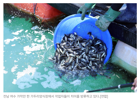 스크린샷 2026-08-10 090214.png