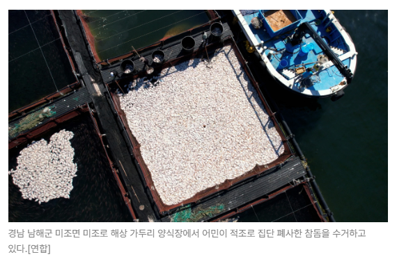 스크린샷 2026-08-10 090232.png