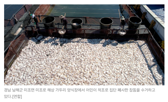 스크린샷 2026-08-10 090243.png