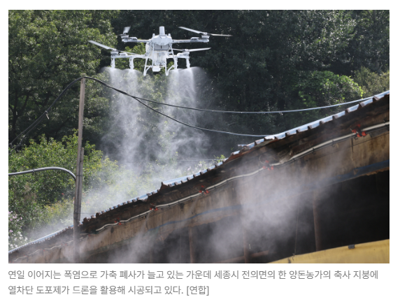 스크린샷 2026-08-10 090249.png