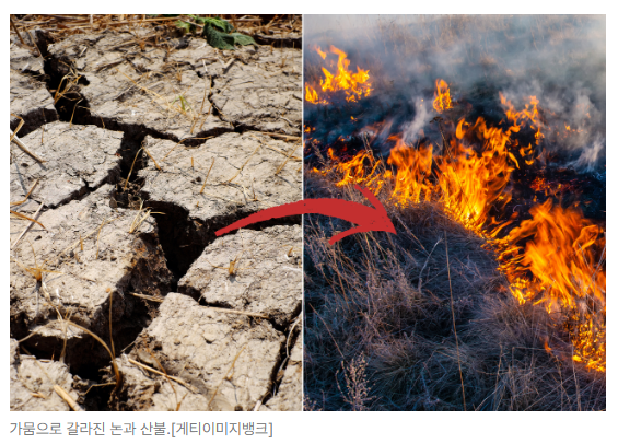 스크린샷 2026-08-10 091802.png