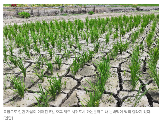 스크린샷 2026-08-10 091810.png