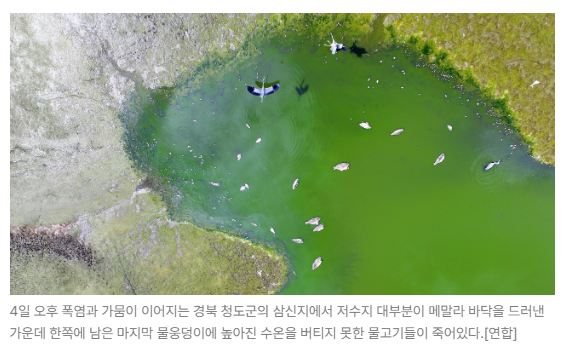 스크린샷 2026-08-10 091820.png