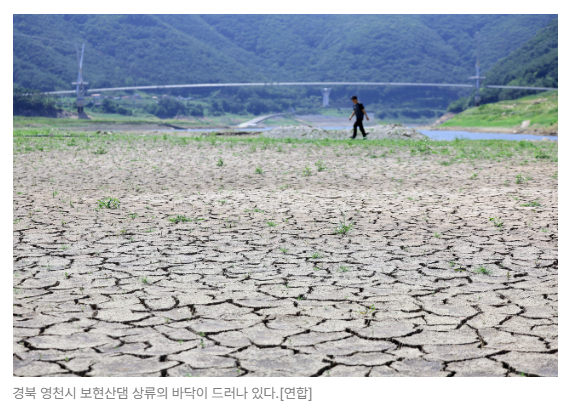 스크린샷 2026-08-10 091846.png