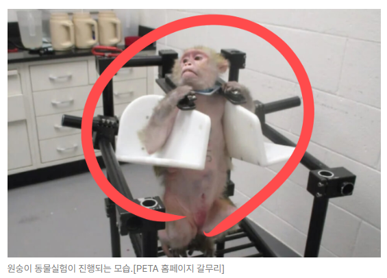스크린샷 2026-08-10 092530.png