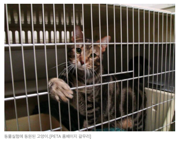 스크린샷 2026-08-10 092620.png