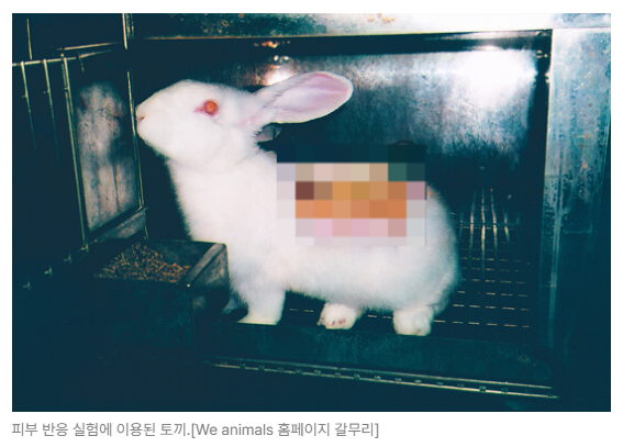 스크린샷 2026-08-10 092626.png