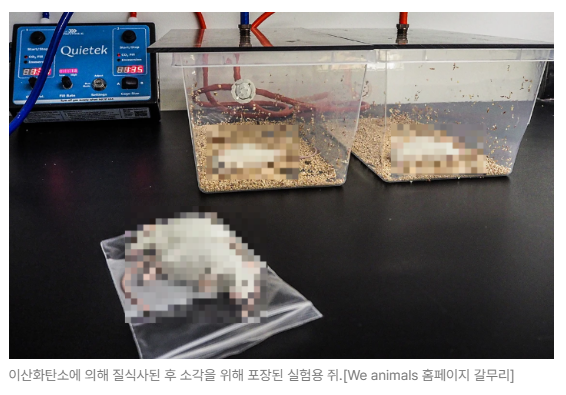 스크린샷 2026-08-10 092630.png