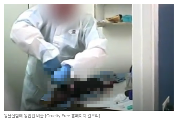 스크린샷 2026-08-10 092637.png