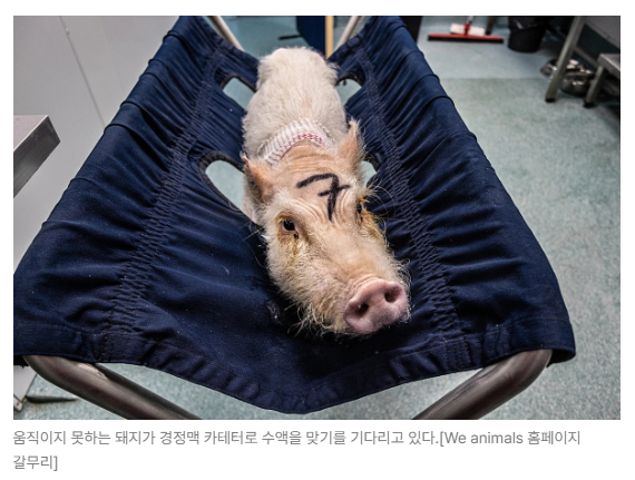 스크린샷 2026-08-10 092643.png