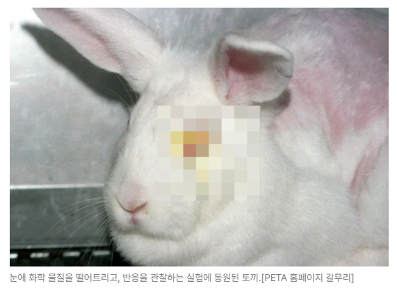 스크린샷 2026-08-10 092649.png